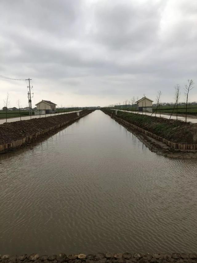 海门市悦来镇鲜行村人口_海门市三星镇中心小学