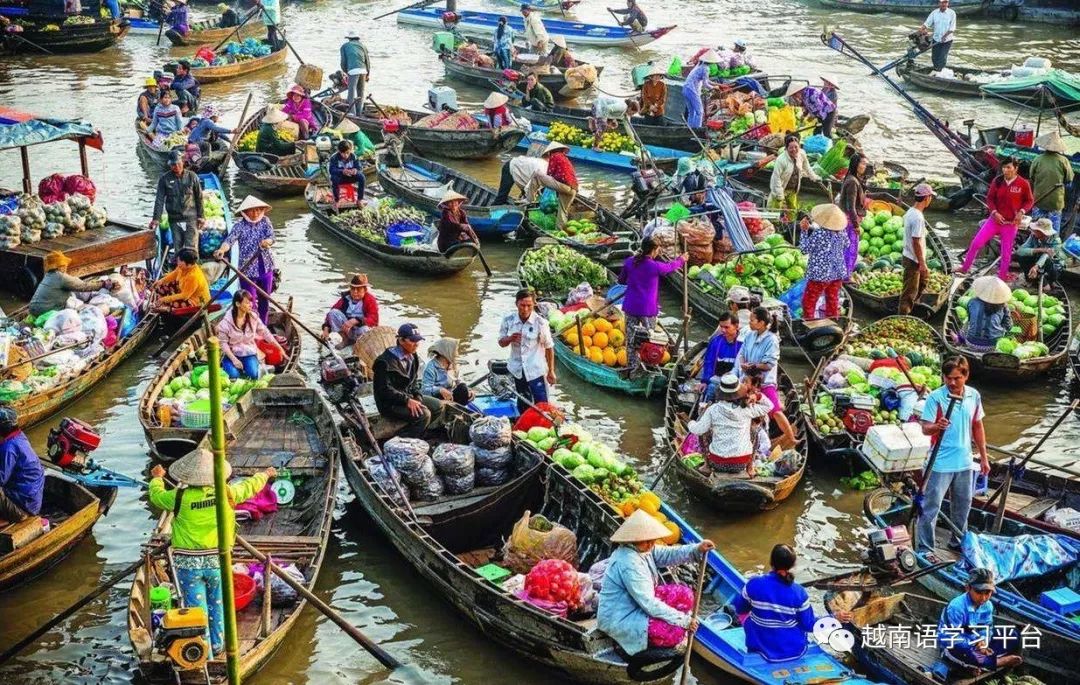 越南水上水果批发市场,芹苴市着力发展湄公河绿色旅游村模式(汉越双语