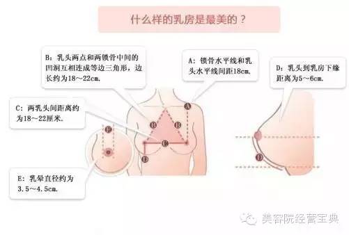 内衣的话术_内衣美女(2)