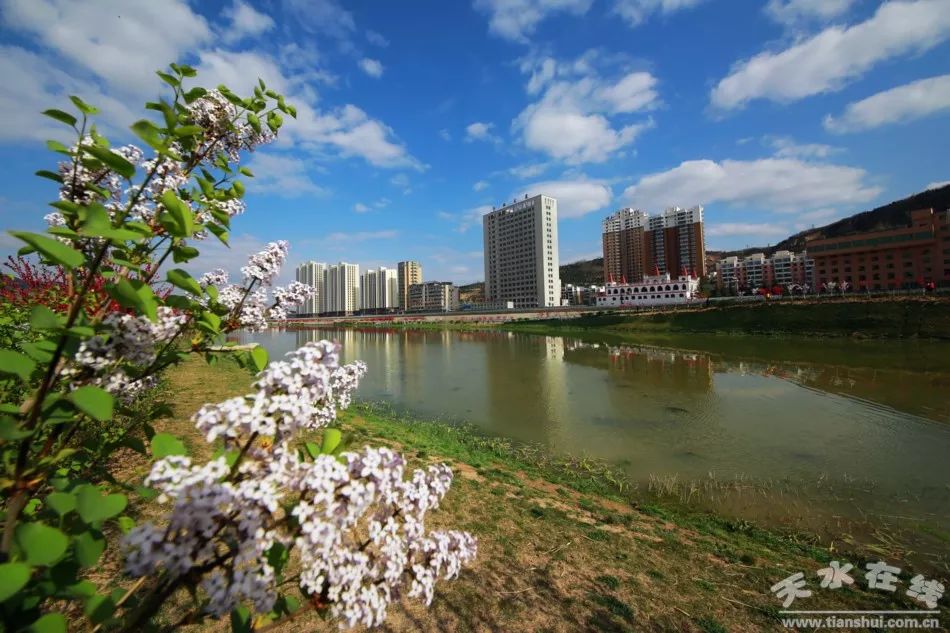 藉河风情线,花开十里,惊艳天水_秦州区