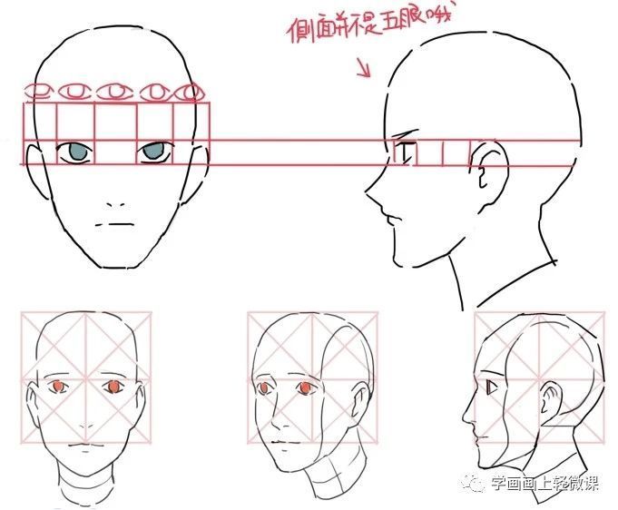 零基础学绘画漫画人物，五官与脸部的画法详解