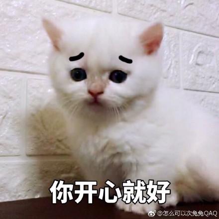 猫咪表情包:你开心就好