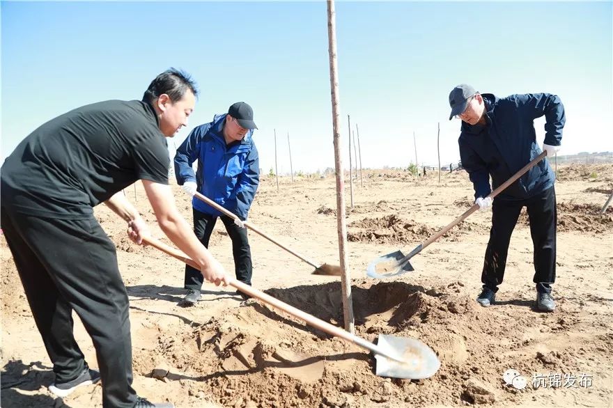 在旗委办绿化点上,自治区派驻杭锦旗脱贫攻坚总队总队长,旗委副书记杜