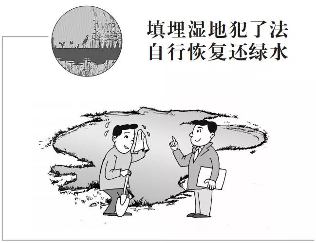 以案说法守护自然资源共建美丽家园漫解涉地案例与法规