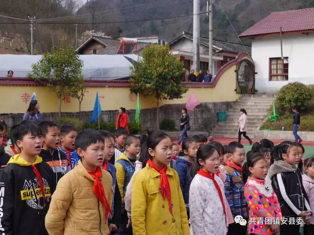 木王镇杨泗小学体育竞技活动纪实