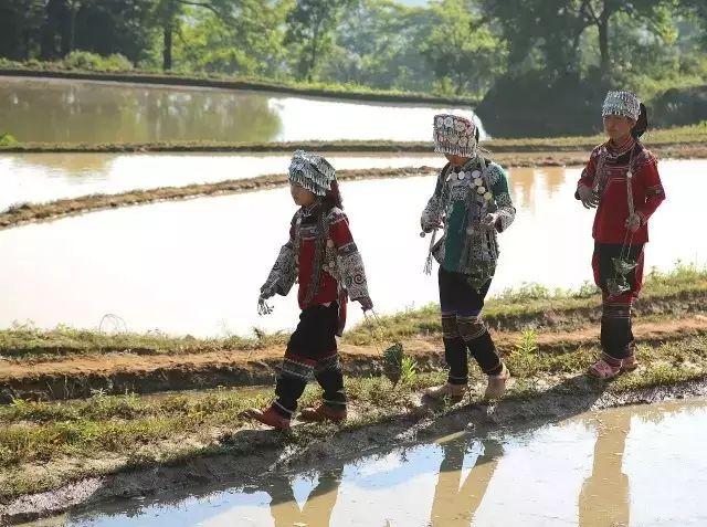 這裡有最全的元陽哈尼族服飾，你都見過哪些？ 旅遊 第6張