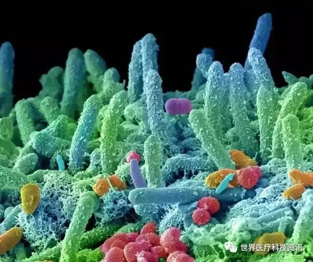 Cell等科学期刊的研究发现多种癌症及其它疾病竟然与口腔细菌有关，神奇 