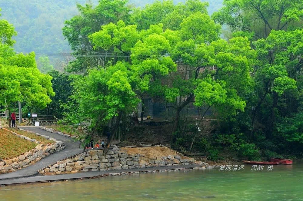 他们坐拥山清水秀, 还可以呼吸着饱含花香的清新空气, 2019年4月14日