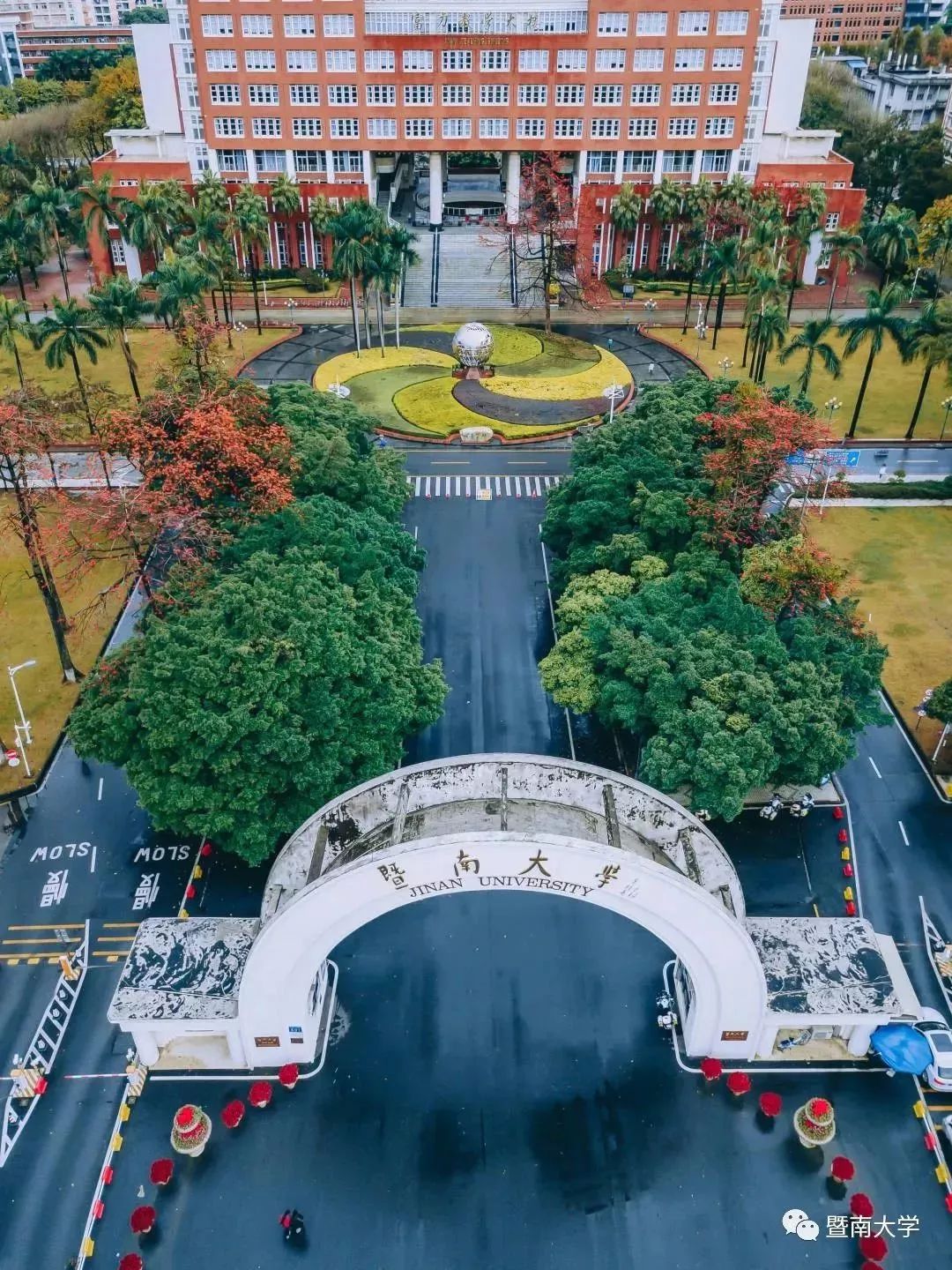 图:暨南大学初春时节,校园里满目的金黄仿佛是一场魔术带你瞬间穿越北