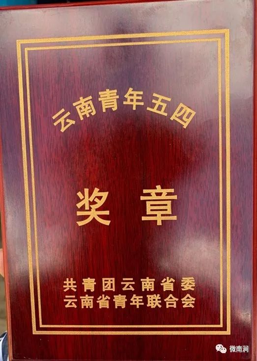 树起青少年学习奋进的标杆团省委追授查卫光同志云南青年五四奖章荣誉