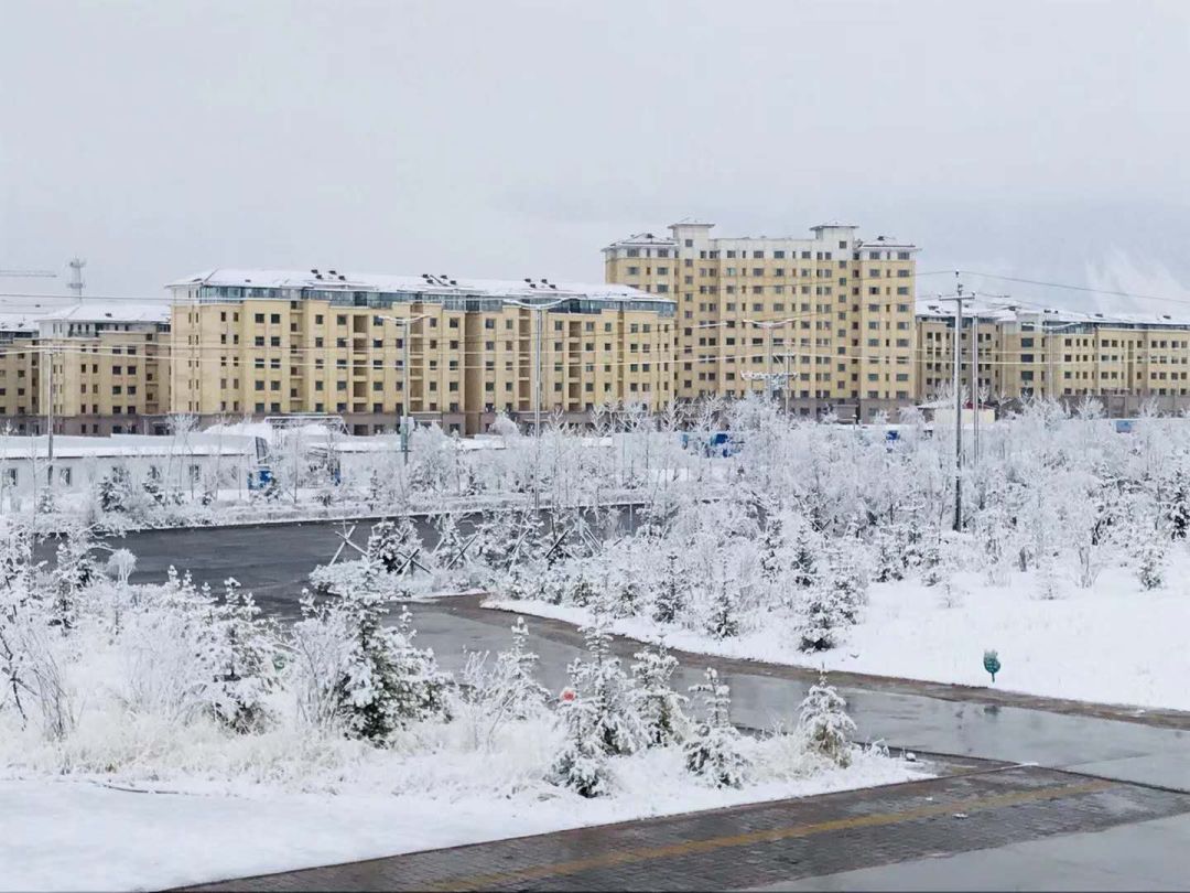 【今关注】今天,青海各地大雪纷飞!(附未来几天天气)