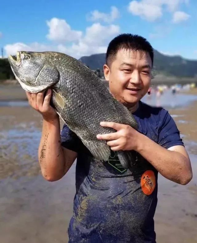 赶海季开始!围网捕鱼,探秘潮间带,螃蟹赛跑大会.