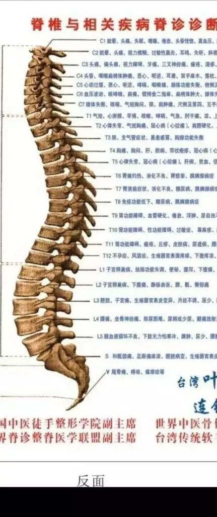 一百多种疾病与脊椎息息相关