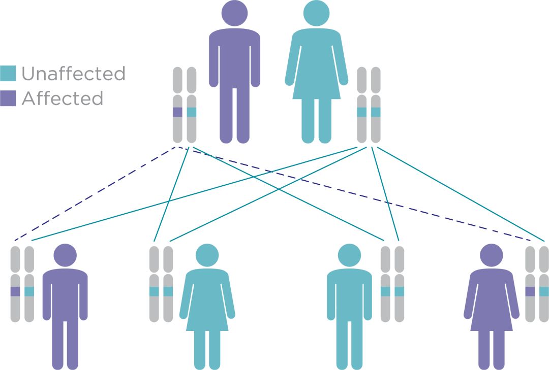 人口与健康的关系_人口与生态环境关系