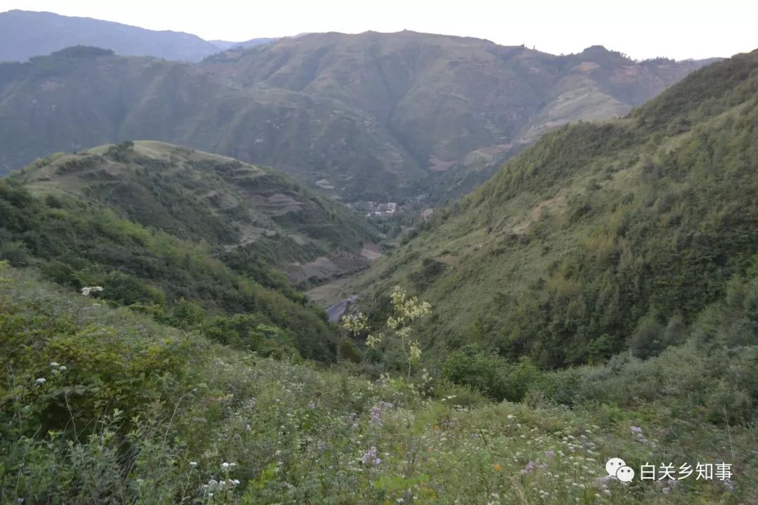 礼县白关镇汪山村一个奔跑在脱贫路上的美丽村庄