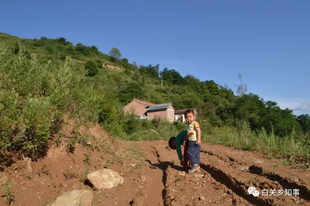 礼县白关镇汪山村:一个奔跑在脱贫路上的美丽村庄