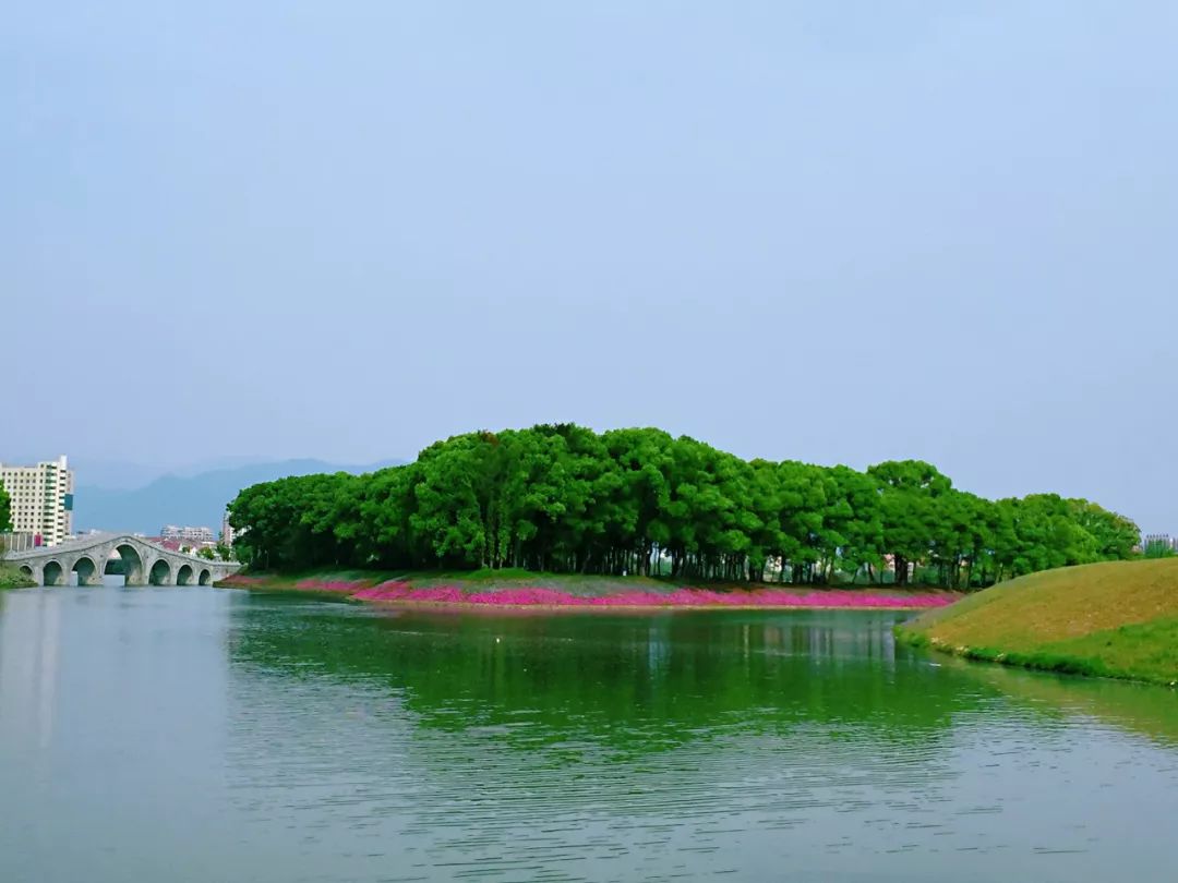 天台始丰湖发现天然狮子王我们城市客厅太美了