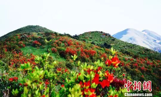 古田杉洋村各姓总人口_古田半洋乡清水洋村(3)