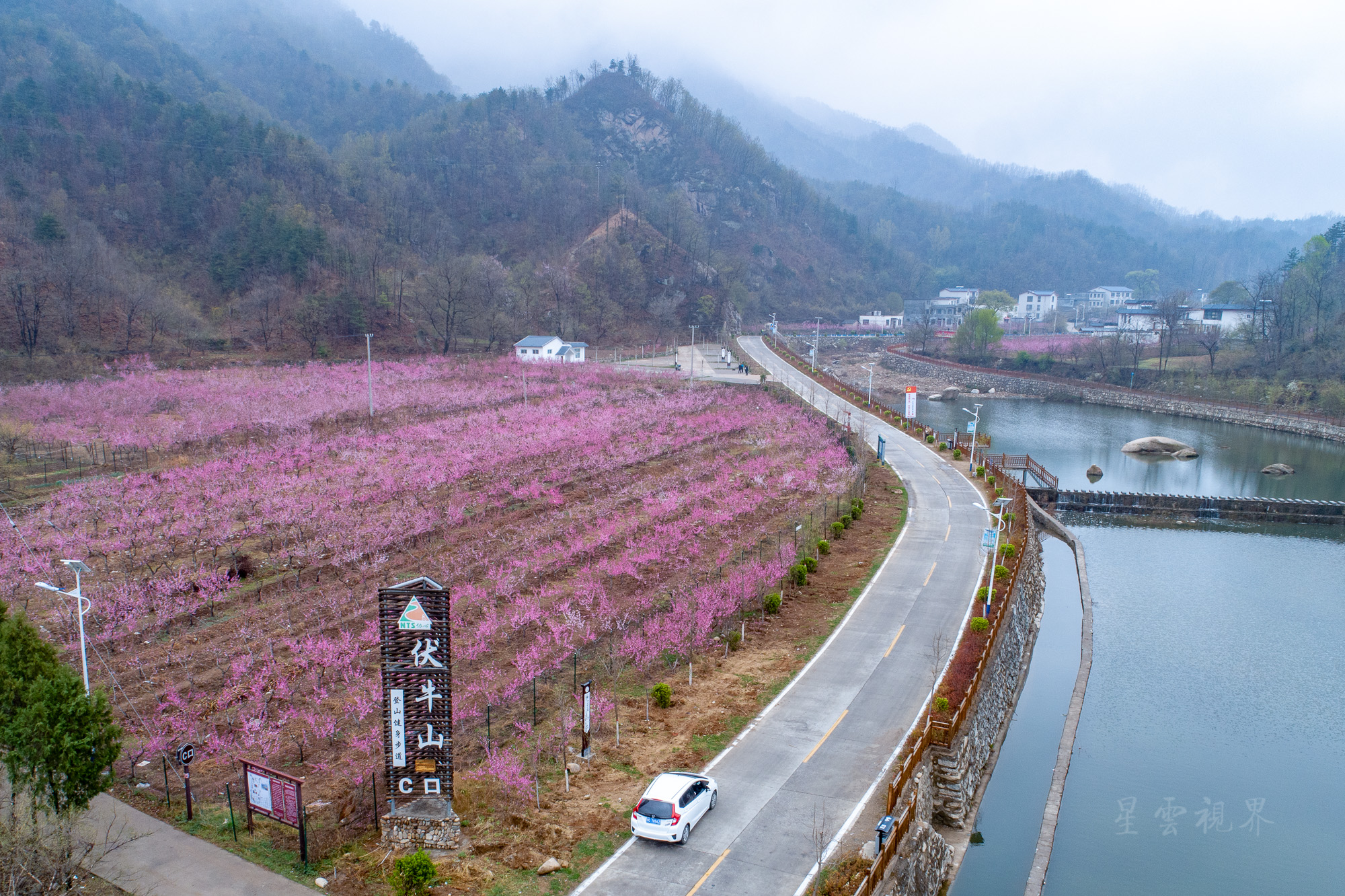 陶屯镇韦里乡有多少人口_北流隆盛镇有多少人口