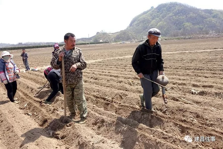 建昌往事—种地记忆!_农村