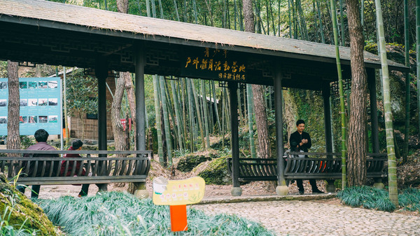 浙江有個華東第一拓展集訓營，趣味、競技、刺激項目樣樣有 旅遊 第11張