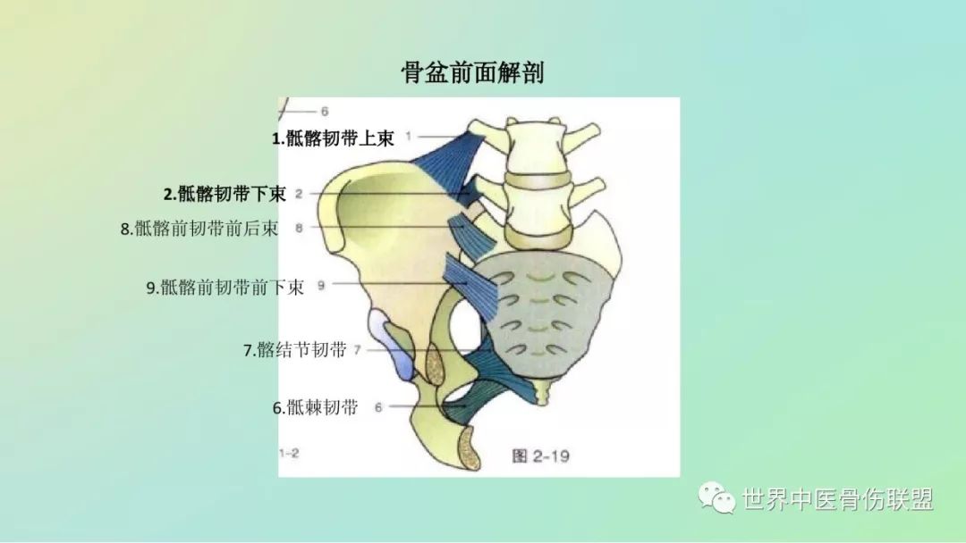 骶髂关节半脱位