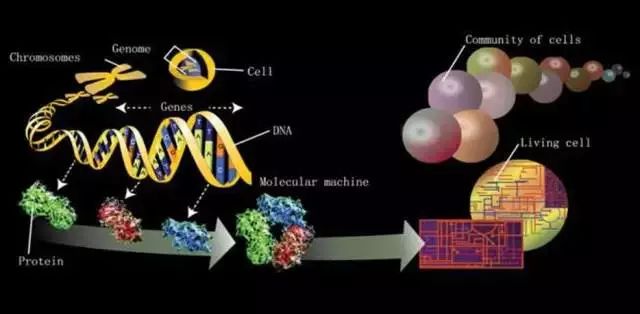 Science125꣺125սԵĿѧ⣨1