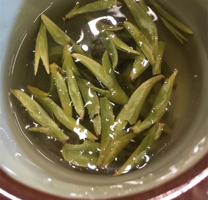 梅坞寻茶简谱_求洛天依的 绿茶的简谱(3)