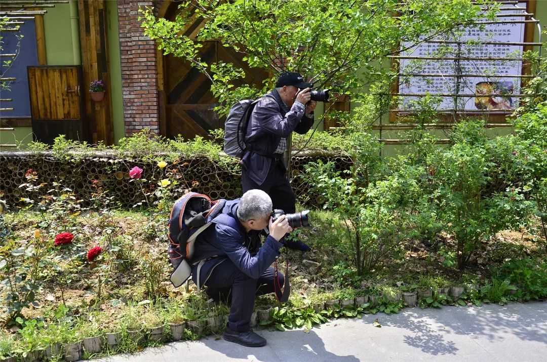 美丽乡村采风ing美丽萧山61美丽家园摄影比赛开始啦