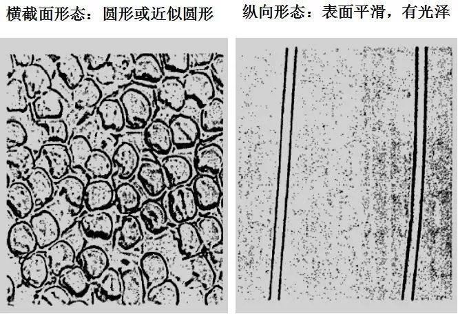 常见纺织纤维在显微镜下的形态 来源: 穿针引线服装设计 点击阅读