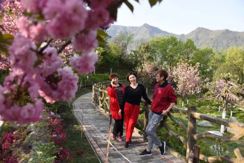 又一个赏花好去处藏匿在安康深山里的世外桃源一步一景春意盎然