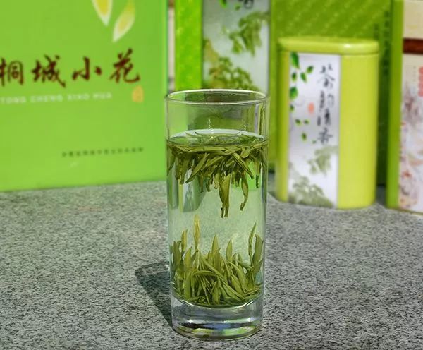 绗涘瓙鏇茶氨姊﹂噷姘翠_翠尖茶图片