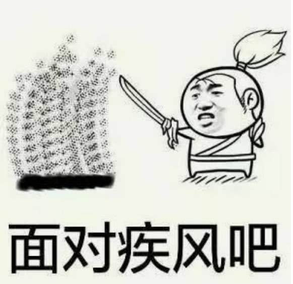 精选斗图·表情包:面对疾风吧,哈赛!