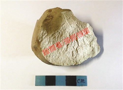 龙文凤山发现3万至6万年前石制刮削器