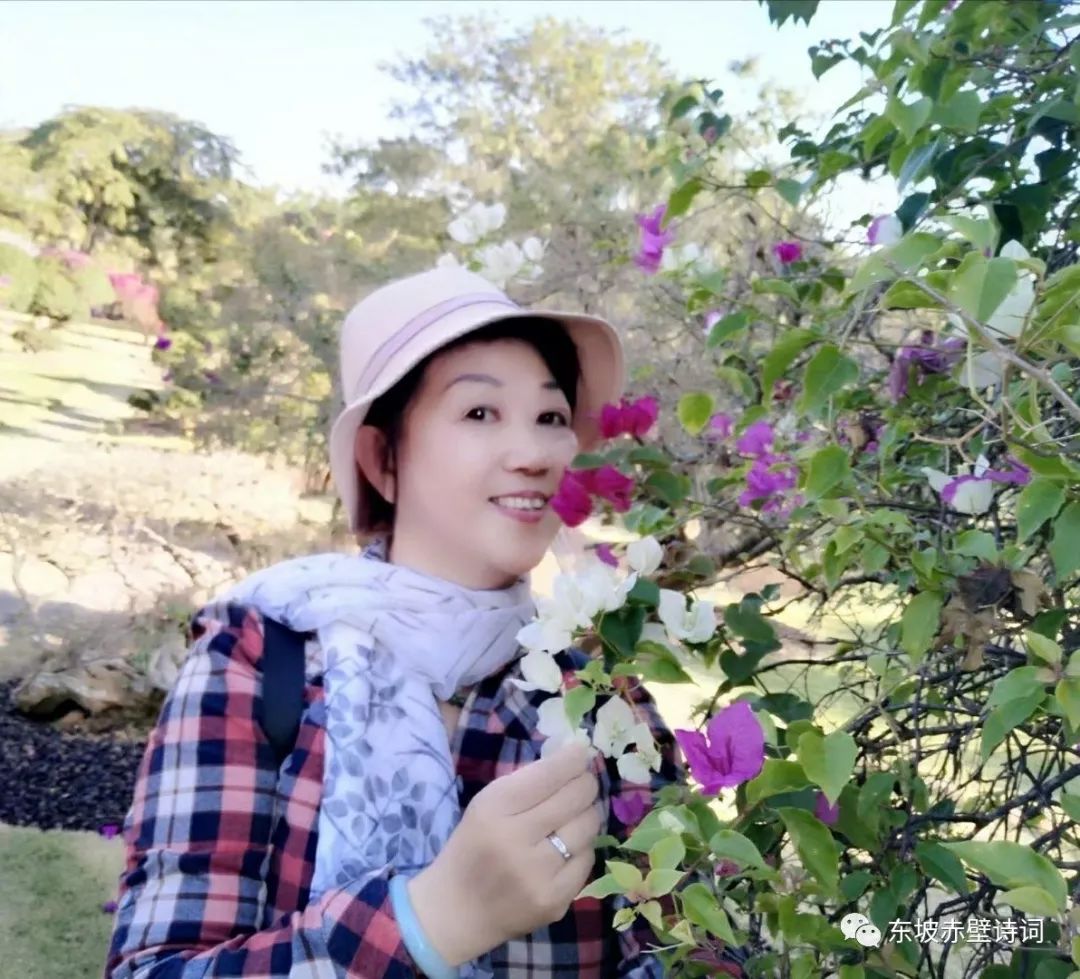 立新陈幼安冰雪芹段 维李有香王丹阳一 苇邱新玉李蔚斌朱胜芳何怀玉紫