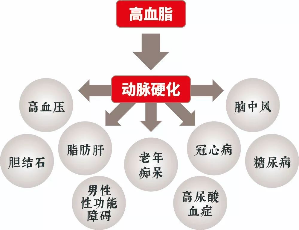 高血脂能夺人命,这么喝茶降脂效果不错!