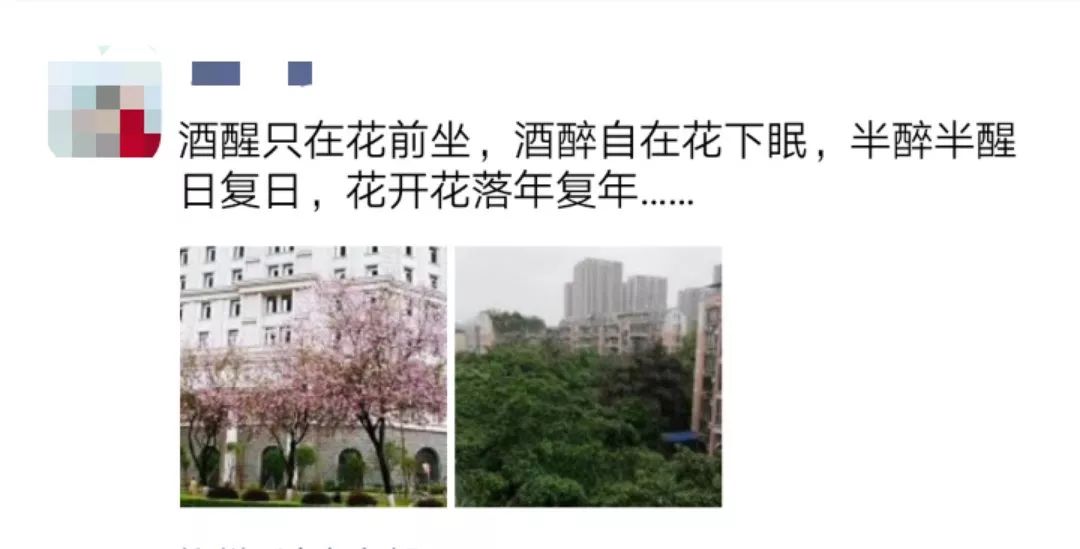 安置人口算同住人吗