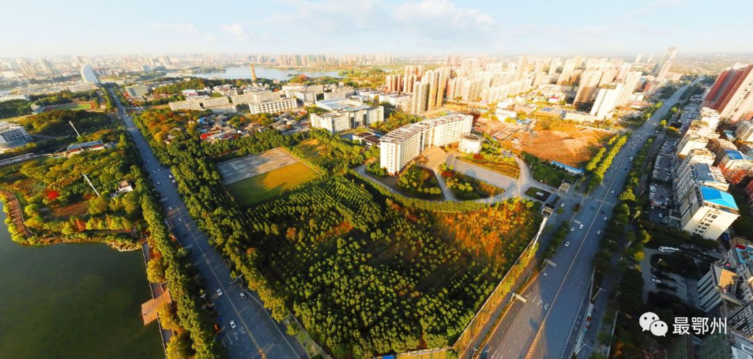 湖北鄂州市城区有多少人口_湖北鄂州市吕环香