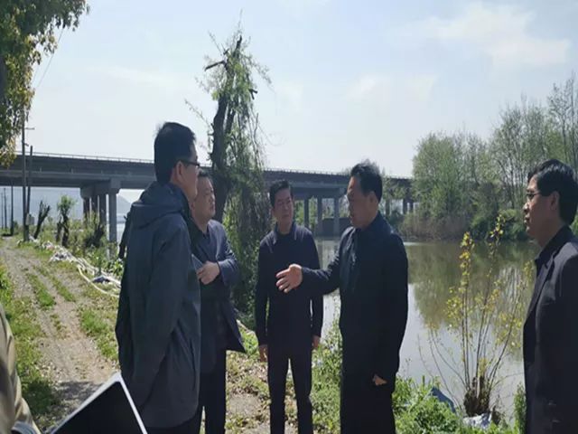 山镇马料湖,高桥湖调研升金湖环保工作,牛头山镇镇长姚胜龙陪同调研