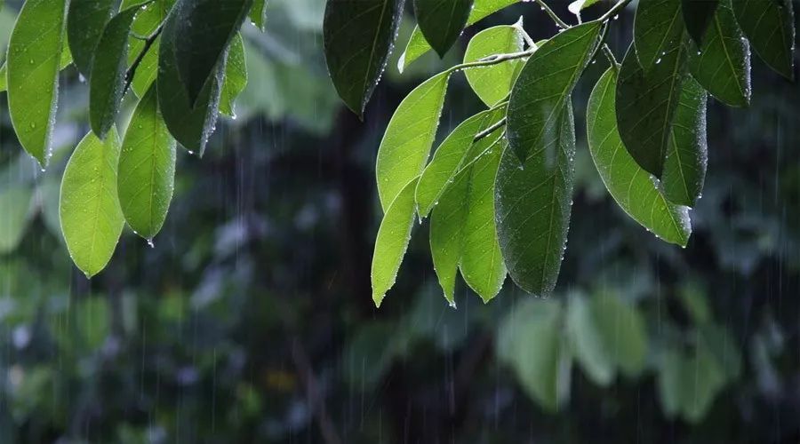 经典音乐下雨的时候听醉了