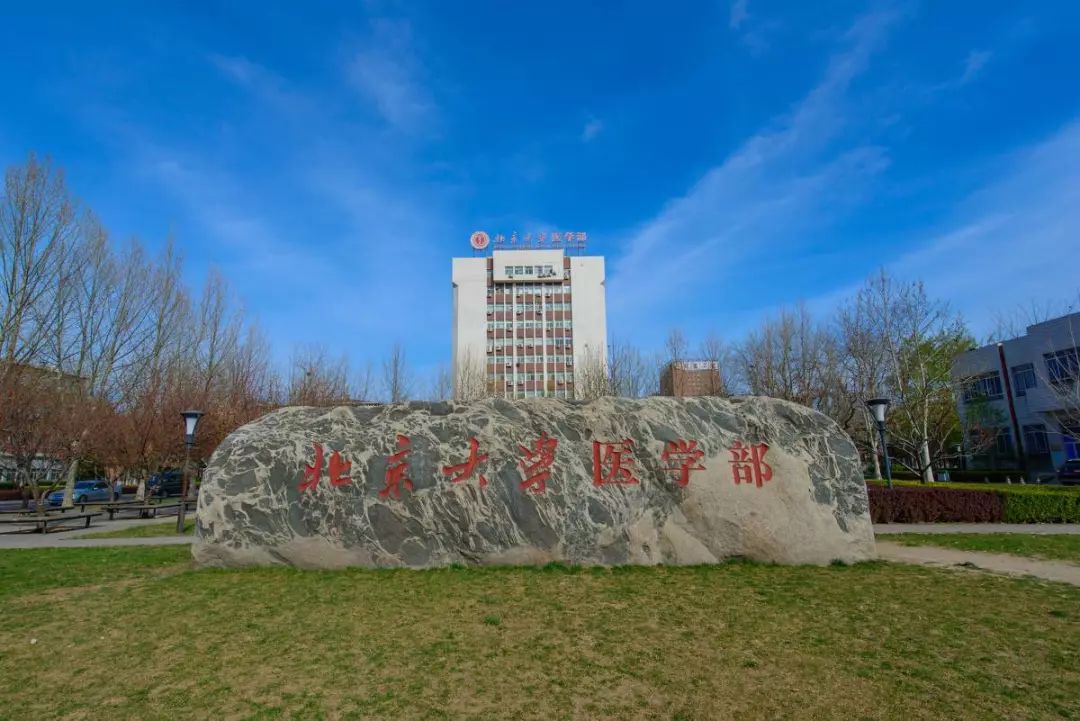 北京医科大学