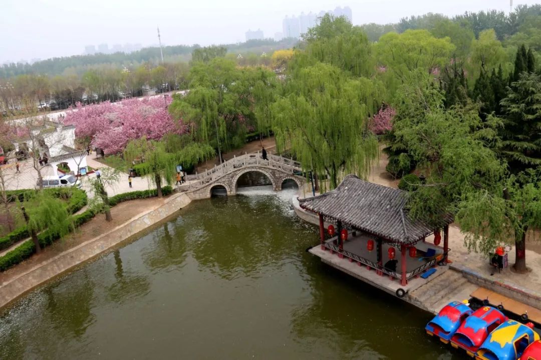 4月13日 2019第十四届中国江北水城(聊城) 国际樱花节 在姜堤乐园