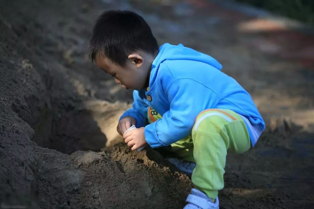 营养素|新手妈千万要重视新生儿需要什么营养素？宝宝的第一口奶