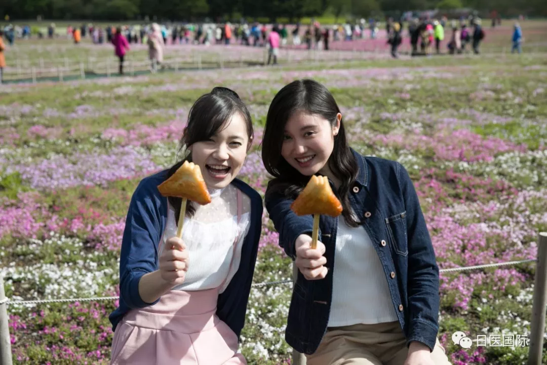 2019富士芝樱祭于4月13日开幕 快来坐热气球看富士山！ 