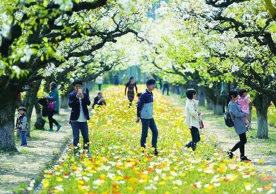 沭阳在住人口_沭阳嵇玉东在监狱图片(3)