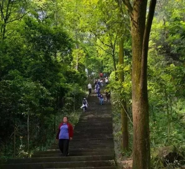 歌乐山“三百梯”：已有400年历史，曾为古代川渝商旅必经之地