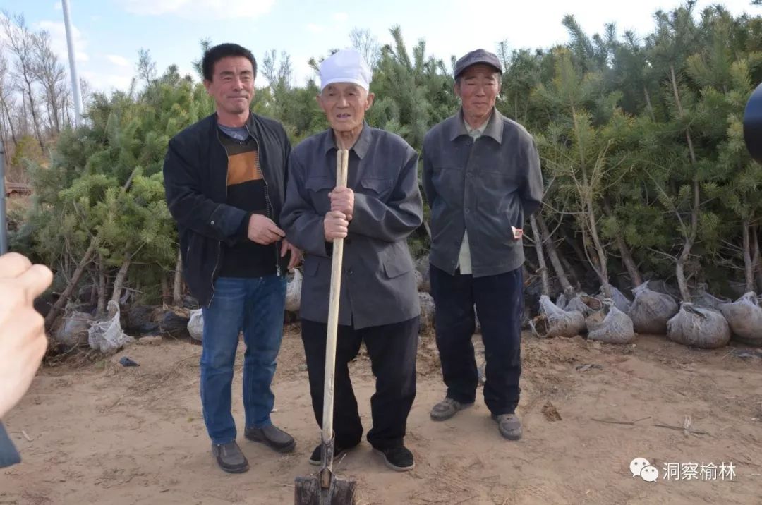 一生献给毛乌素沙地 98岁老人让10万亩荒沙重披绿装_郭成旺