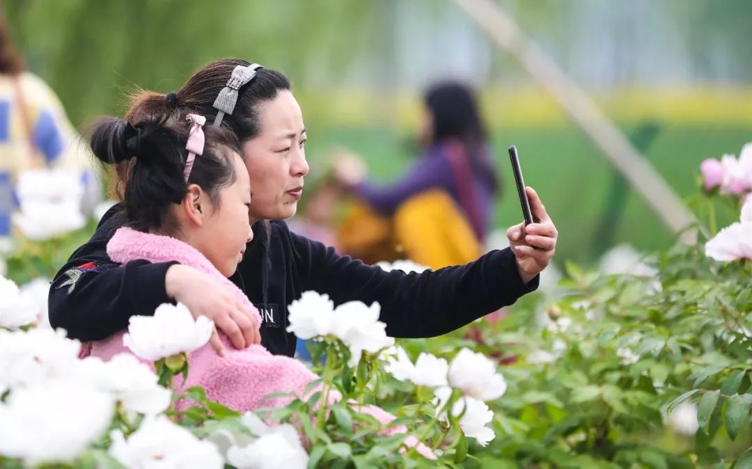 牡丹节人口_洛阳牡丹节图片(3)