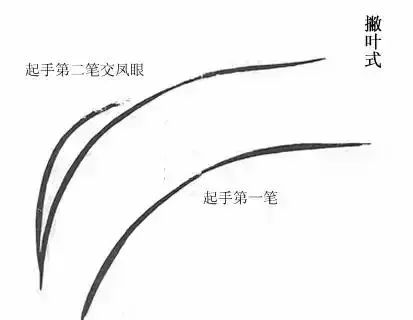 初学者怎样取法芥子园画兰花层次法画心法双钩法赶紧学