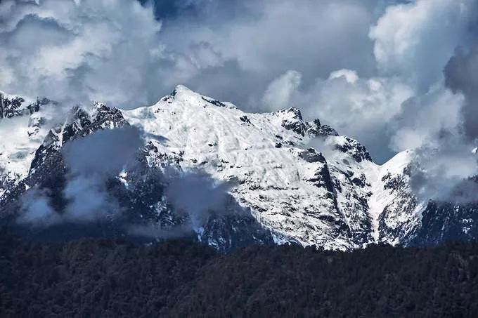 匹河乡 两座雪山,一条神奇大峡谷孕育的【绿茶】